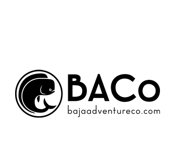 Baja Adventure Co